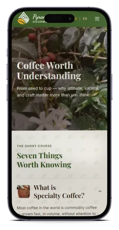 La sección educativa del sitio en un teléfono: «Coffee Worth Understanding», con flores y cerezas de café